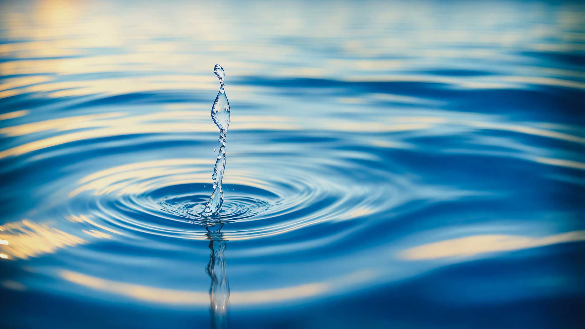 The Liquidity Conundrum