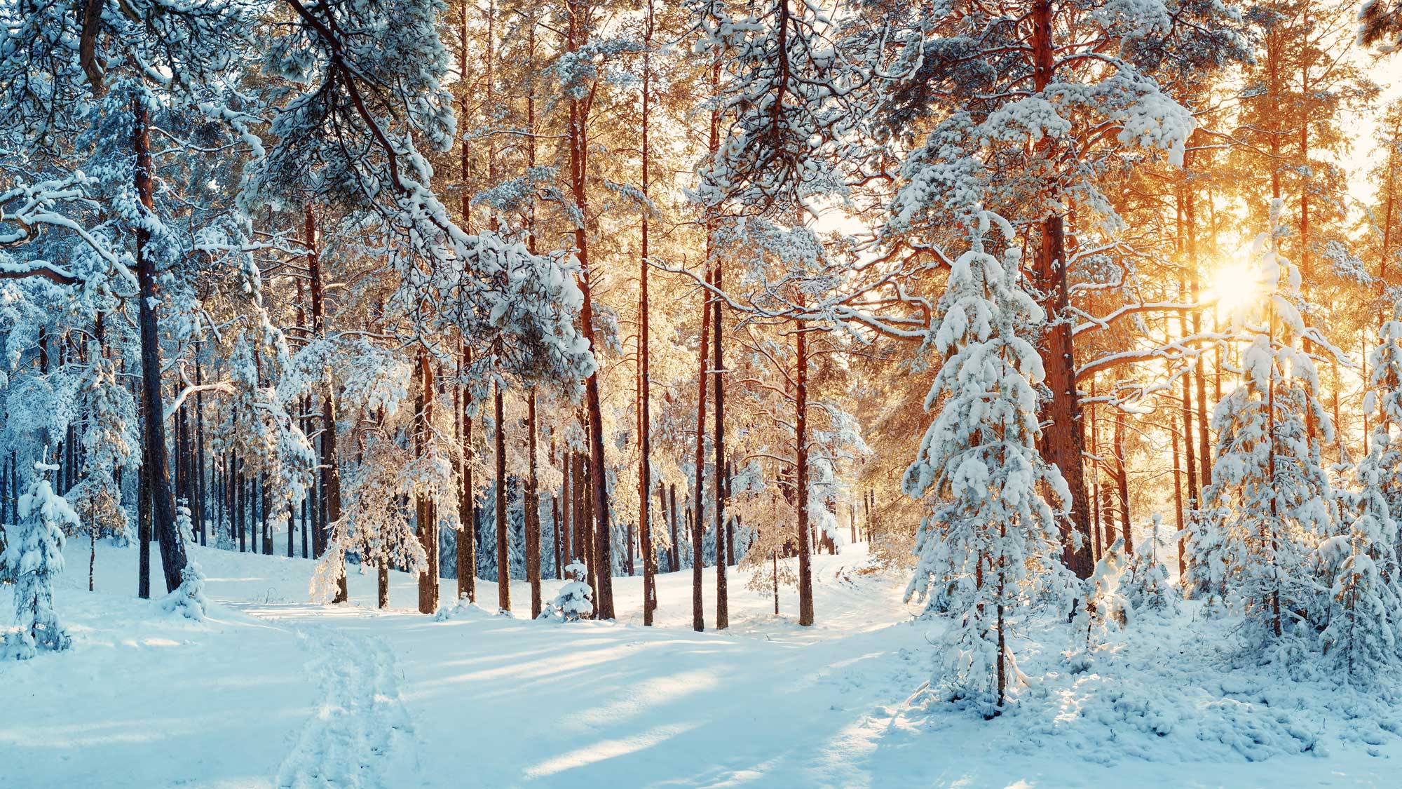 January Comes in Hot Despite Cold Temps